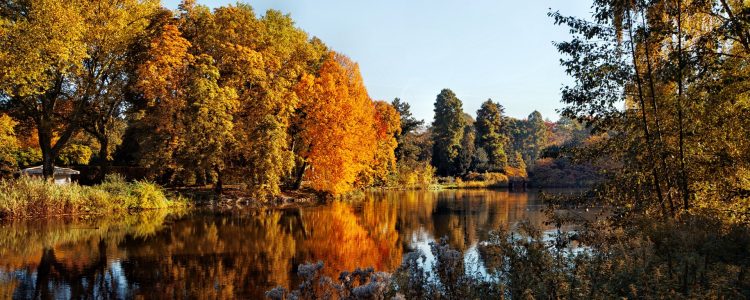 Herbst Panorama