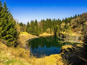 Wald und Seelandschaft in der Rhön