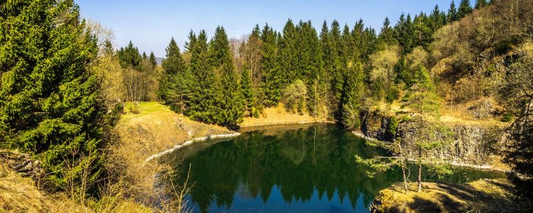 Wald und Seelandschaft in der Rhön