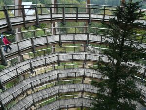 Kreisförmige Holzgeländer im Turmhaus des Baumwipfelpfad